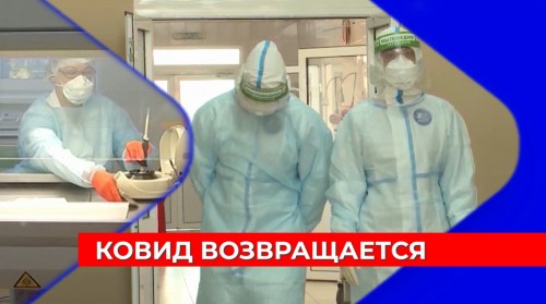 В Нижегородской области ждут высокопатогенный грипп и новые штаммы короновируса