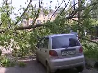 Дерево упало на автомобиль.