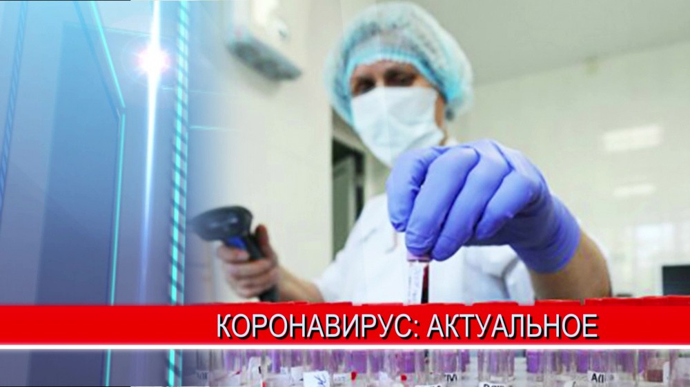 На карантин по коронавирусу ушёл класс в школе №44 Нижнего Новгорода На карантин по коронавирусу ушёл класс в школе №44 Нижнего Новгорода