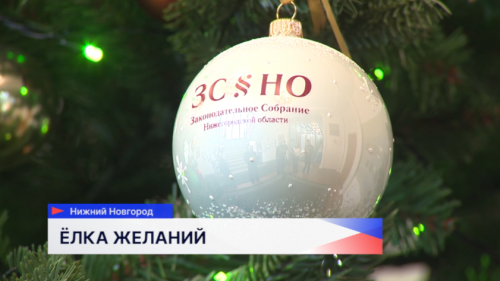 Депутаты ЗСНО присоединились к акции «Новогодняя ёлка желаний»