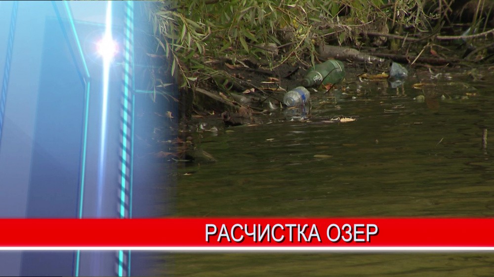 От компьютерных мониторов до полиэтиленовых пакетов - вокруг нижегородских озер настоящие свалки От компьютерных мониторов до полиэтиленовых пакетов - вокруг нижегородских озер настоящие свалки