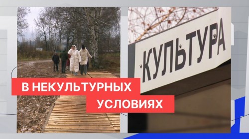 Жители посёлка Культура возмущены вырубкой части Аллеи героев и состоянием разбитой большегрузами дороги
