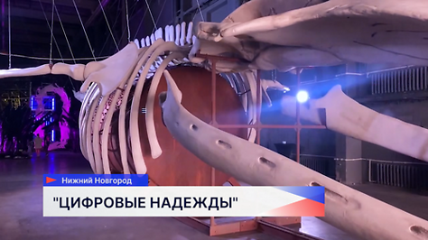 Выставка «Цифровые надежды» открылась в Нижнем Новгороде