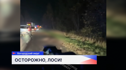 Массовая смертельная авария произошла в Богородском округе