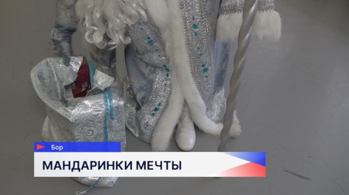 Многодетная семья из города Бор получила новогодние подарки в рамках благотворительной акции «Мандарин»