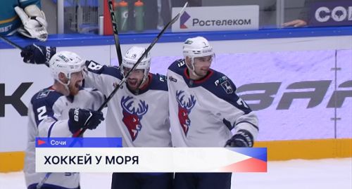 Хоккеисты нижегородского «Торпедо» в рамках чемпионата КХЛ провели на Черноморском побережье матч против ХК «Сочи»