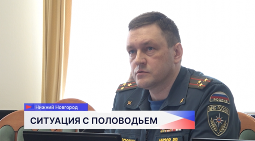 На заседании профильного комитета Законодательного Собрания Нижегородской области обсудили подготовку к половодью