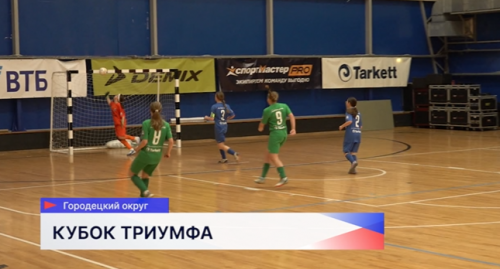 Всероссийский фестиваль по мини-футболу «Кубок Триумфа» прошёл в Нижегородской области