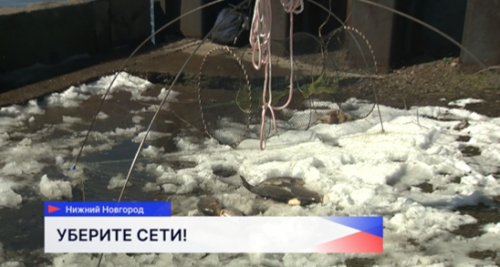 Инспекторы рыбоохраны ежедневно патрулируют Волгу в период нереста