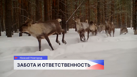 Экологи, сотрудники предприятий собрались в Зелёном городе на сессию по экологии