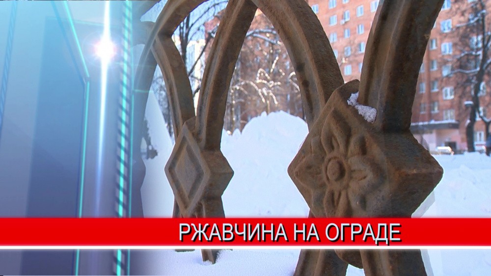 Прокуратура Нижегородской области начала проверку сквера на Звездинке Прокуратура Нижегородской области начала проверку сквера на Звездинке