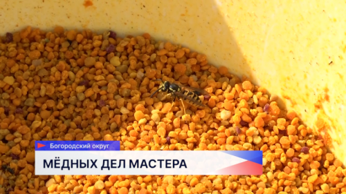 В Нижегородской области пчеловоды развивают бизнес благодаря грантам проекта «Агростартап»