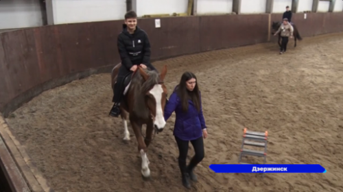 Юные спортсмены из Белгородской области посетили конюшню в Дзержинске 