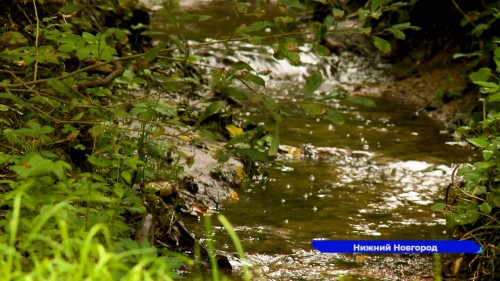 Квартирник прошёл на Щёлоковском хуторе