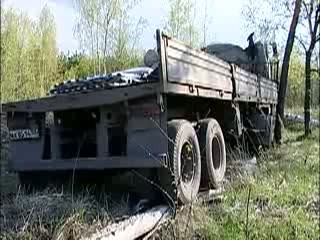 Один столб и несколько берёз свалились под натиском огромного грузовика