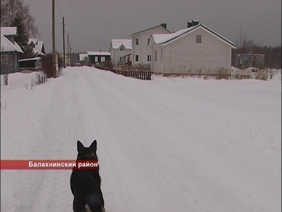 20-летний молодой человек погиб под колесами автомобиля, катаясь на тюбинге в Балахнинском районе