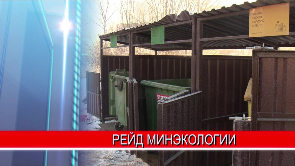 Проверяющие посетили 8 контейнерных площадок и на всех выявили нарушения природоохранного законодательства