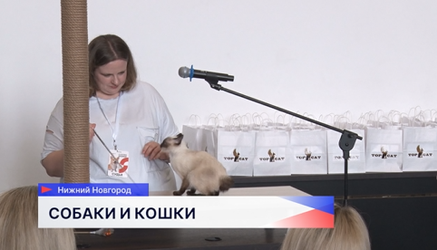 Выставка «Зоомир» проходит на Нижегородской ярмарке