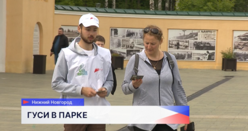 Акцию «Гуси в парке» провели у входа в парк «Швейцария» в Нижнем Новгороде