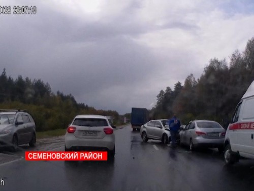 Лось на дороге спровоцировал аварию с участием двух машин в Семеновском районе