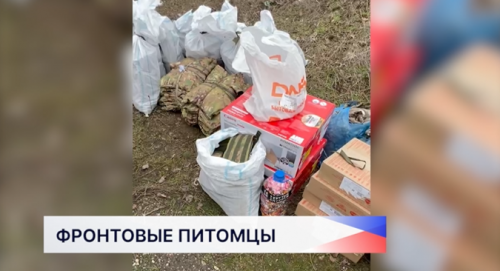 Сотрудницы аппарата Законодательного Собрания Нижегородской области отправили посылку для питомцев бойцов на передовую