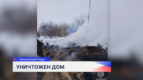В селе Каменка Пильнинского округа на пожаре погибла женщина