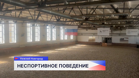 Жестоко избили лошадь в спортшколе Нижнего Новгорода