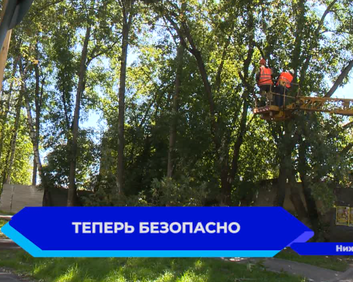 Перед наступлением холодов на придомовых территориях выполняют кронирование деревьев и спил сухих веток